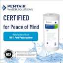 Pentair Pentek DGD-7525 Big Blue Sediment Water Filter, 10-Inch, Whole House Dual-Gradient Density Spun Polypropylene Replacement Cartridge, 10" x 4.5", 25 Micron, Pack of 8
