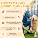 Dog Knee Brace for Acl and Ccl Injuries Adjustable, Comfortable Support for Joint Pain Relief, Post-Surgery Recovery, and Improved Mobility for Front or Back Legs, S