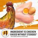 Purina Beyond Natural Dry Cat Food Wholesome Ingredients for Whole Health White Meat Chicken and Whole Oat Meal Recipe - 6 lb. Bag (EXP 08/01/26)