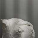 SAVORI Set of 2 Down and Feather Throw Pillow Inserts 26x26 Soft Fluffy Pillow Inserts with 100% Down-Proof Cotton Cover, Decorative Square Cushion Inner for Sofa Couch Bed-White