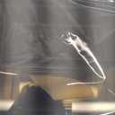 RHCOM Toy Organizer.72 Compartments.Toy Storage Box Compatible With Hot wheels Cars, Matchbox Cars,Mini Toys and Small Dolls.Toy Storage Display Case With 3 Layers of Removable Trays(Black)