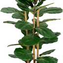 Artificial Fiddle Leaf Fig Tree in Modern White Planter, 5ft Large Fake Tree with 3 Sturdy Trunks, Fake Plants Faux Fig Tree with Moss, Lifelike Tall Artificial Plants Indoor for Office Home Decor