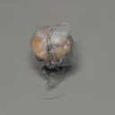 Zassenhaus Cast Iron Spice Grinder Set with Beech Wood Lid, Spice Mill, Herb and Seed Grinder, 3 Inches (Black)