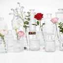 16 Pack Glass Bud Vases for Centerpieces - Bulk Small Flower Vases Set of 16, Mini Vintage Vases, 4 Styles for Party, Wedding Decorations, Baby Shower, Home Table Flower Dcor (Clear)