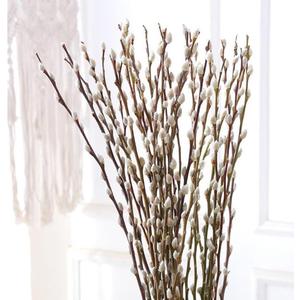 30 Branches Pussy Willow Branches for Vases 23 Inches Natural Dried Pussy Willows Real Dried Flowers 2 Years Long Lasting for Home Decoration