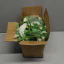 ccHuDE Artificial Flowers Eucalyptus Garland Faux Floral Greenery Garland Fake Flowers Vine Long Greenery Vines Hanging Plant Vines Eucalyptus Leaves Vines Decorations for Wedding Backdrop, 4 pack