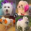 Dog Hair Dye, Permanent Pet Hair Dye, Professional Dog Safe Hair Dye, Bright Color for Dogs and Horses(Turquoise-2)