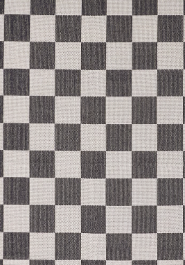 IndoorArea Rug 24x54