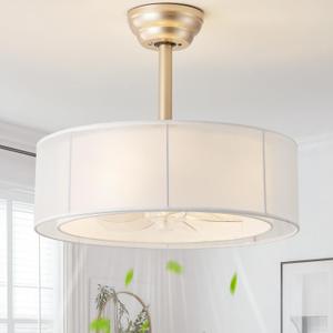 20" Caged Fandelier Ceiling Fans with Lights, Boho Ceiling Fan with Light Remote Control, Chandelier Coastal with 6 Speeds for Bedroom, Nursery, Living Room (Gold)