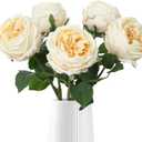IPOPU 5PCS Real Touch Austin Roses Champagne Flowers Peony Artificial Flowers Fake Roses with Stems for Wedding Bouquet Party Home Decor(Champagne)