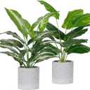 Der Rose 2 Pack Fake Plants Artificial Tropical Faux Plants Indoor for Office Desk Home Sage Green Decor