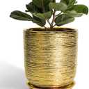 Amazon.com : SUNPOTFOR Ceramic Flower Pot for Indoor Plants - 10 Inch Plant Pot with Drainage Hole and Saucer, Decorative Round Outdoor Indoor Planter, Housewarming Gifts, Home Garden Decor, Gold : Patio, Lawn & Garden