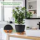 2 Pack 8 Inch Pots for Plants Indoor, Plastic Self Watering Planters with Drainage Holes, Water Level Indicator & Deep Reservoir, Decorative Flower Pots Indoor Outdoor Use (Black