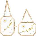 JUXYES 2 Pack Wall Hanging Brass Glass Ornament Frames, Double Glass Brass Tiny Frame for Pressed Flowers, Golden Octagon Metal Floating Frame Ornaments for Picture, Pressed Flower, Poster