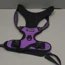 rabbitgoo Dog Harness No Pull with 2 Leash Clips, Adjustable Soft Padded, Reflective Oxford No Choke Pet Vest with Easy Control Handle for Large Dogs, Purple, XL