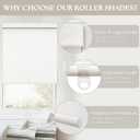 Birch Ivory Cordless Roller Shades Non See Through Blinds 28" W x 72" H