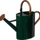 Gardenised 1 Gallon Galvanized Metal Watering Can with Removable Long Spout & Sprinkler Head for Indoor & Outdoor Use Ideal for Garden Flowers Potted Plants Houseplants Modern Home Accessories, Green