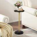 COVLON Drink Table Set of 2, Small Round Pedestal Side Table with Carved Top for Living Room, Bedroom, Small Space, Corners and Office, Gold and Black