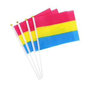 20 Pack Pansexual Pride Handheld Stick Flags for LGBTQ Parades Event, 12 Inches