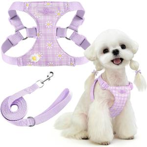 PETCARE Cute Small Dog Harness and Leash Set Purple Floral Daisy Puppy Harness Vest Adjustable Step in Spring Summer Soft Mesh Flower Girl Dog Harnesses for Chihuahua Yorkie Pomeranian Shih Tzu, M