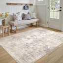 4x6 Washable Area Rug Beige Grey Abstract Non Slip Soft Low Pile Rug for Entryway Kitchen Bathroom Neutral Modern Throw Carpet for Living Room Bedroom Home Decor