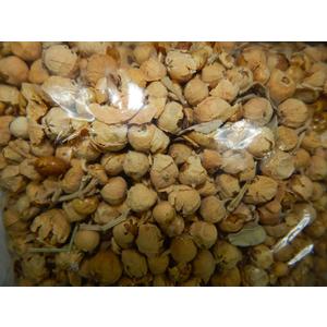 Natural Takething Paneer Doda Phool Withania Coagulans Anti -Diabetic herb 500gms Export Quality