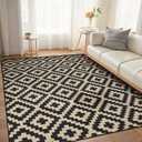 Boho 6x9 Soft Area Rug with Nonslip Backing for Living Room, Bedroom, Dinning Room, Low Piles Carpet Mats Indoor and Outdoor Rug, Black&Beige