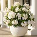 4pcs Fake Flower Artificial Geranium,Artificial Flowers for Outdoors, White Geraniums Artificial Flowers Realistic,Artificial Geraniums for Outdoors Fake Plant Decoration (White)