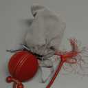 Cheerble 2 in 1 Interactive Cat Toys for Indoor Cats - Wicked Ball Duo2 Automatic Cat Toy, Dual Interchangeable Shells, Electric Cat Toy Ball with Chirping Sounds, Rechargeable Moving Kitten Toys, Red