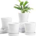 Plant Pots Indoor 5 inch Ceramic Flower Pot with Drainage Hole and Ceramic Tray - Gardening Home Desktop Office Windowsill Decoration Gift, Set of 4 - Plants NOT Included (White)