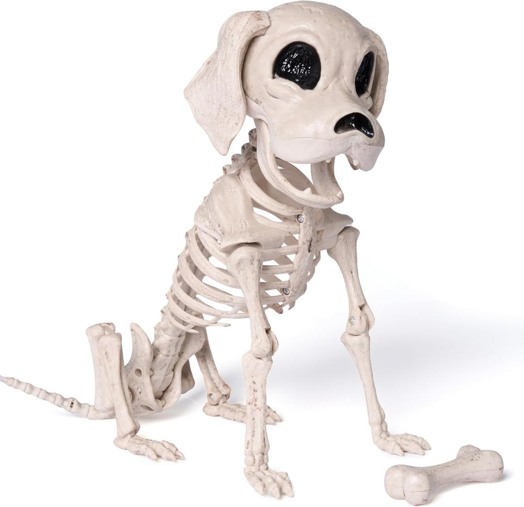 JOYIN Posable Halloween Dog Skeleton Full Body Posable Joints Realistic Skeleton Puppy with Movable Joints for Halloween Decoration, Graveyard Party Decor (9.8 X 4.7 X 12.6) JOYIN Posable Halloween Dog Skeleton Full Body Posable Joints Realistic Skeleton Puppy with Movable Joints for Halloween Decoration, Graveyard Party Decor (9.8 X 4.7 X 12.6)