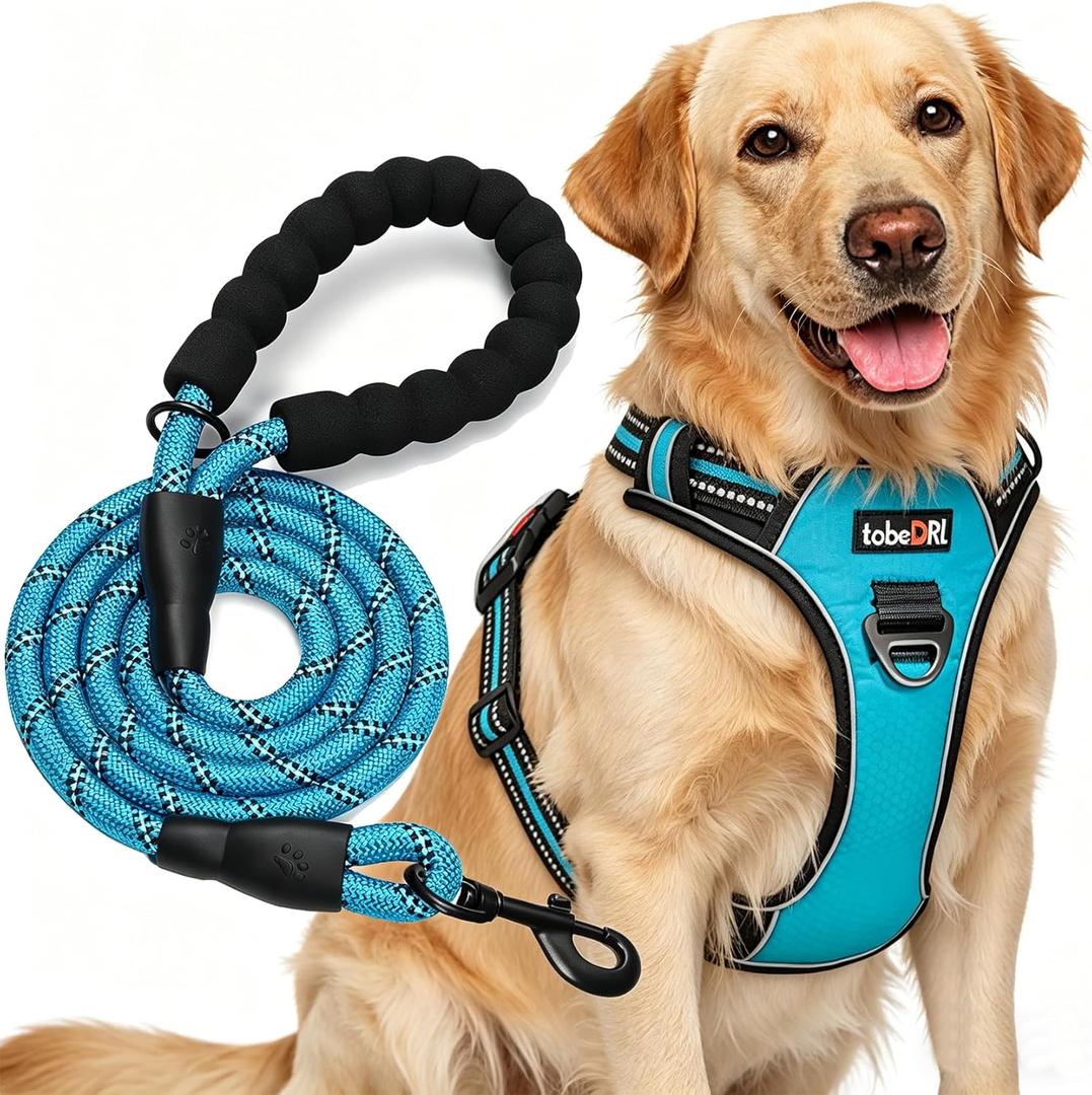 No Pull Dog Harness Adjustable Reflective Oxford Easy Control Medium Large Dog Harness with A Free Heavy Duty 5ft Dog Leash, Large