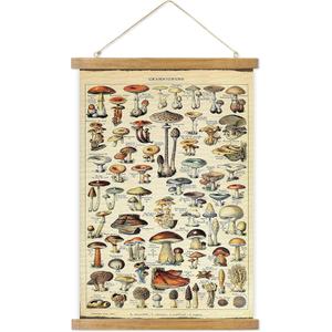 ABoby Vintage Hanging Posters, Decorative Mushroom Wall Art Prints, Printed on Linen with Wood Frames, Ready to Hang (23L" x 16W")