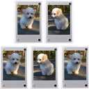 3" Dual Sided Clear Acrylic Refrigerator Magnetic Photo Frame, Frameless Display Compatible with Fujifilm Mini 9 8 8+ 2x3 Photo (x5)