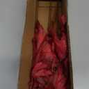 Hollyone 3Pcs Artificial Maple Leaves Short Branches Fall Greenery Branch Fake Fall Leaves Stems Plants Faux Maple Shrubs Leaf Bushes Table Centerpieces Autumn Halloween Festival Party Decorations Red