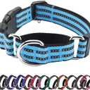 Hikiko Martingale Dog Collars Reflective Nylon Dog Collar with Quick Release Buckle Adjustable Training No Slip Dog Collar (Medium, Light Blue)