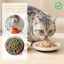 6pcs Cat Food Bowl No Spill Ceramic Cat Bowls Shallow Plates Anti Whisker Fatigue Cats Bowl Set Cats Dishes with Nonslip Silicone Bottom Shallow Wide Kitten Plates for Feeding Indoor Food Water