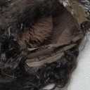 Curly Wig for Black Women Bouncy Fluffy Heat Resistant Synthetic Wig Black Afro Kinky Curly Wig for Daily and Cosplay 