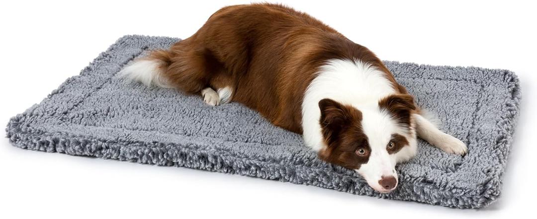 PELZIN Stoutwool Indestructible Dog Bed - Fluffy Chew Proof Dog Crate Pad - Tough Kennel Pad for Aggressive Chewers - Washable, Ideal for Large Breeds & Fits 36-Inch Crate - 35"x22", Charcoal