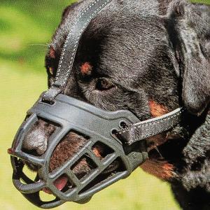 BARKLESS Dog Muzzle, Soft Basket Silicone Muzzle for Dogs, Best to Prevent Biting and Chewing, Breathable Cage Mouth Cover for Training, Allows Drinking and Panting, Used with Collar (3 (Snout: 9"-10"))