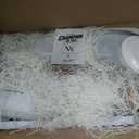163Pcs Soccer Goal Party Decorations Tableware Set for 24 Guests