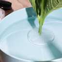 Flower Frog, Frogs for Arrangements Supplies, Floral Ikebana Stem Holder, Stem Pin Holders, Clear Plastic Ikebana Bowl (8pcs)