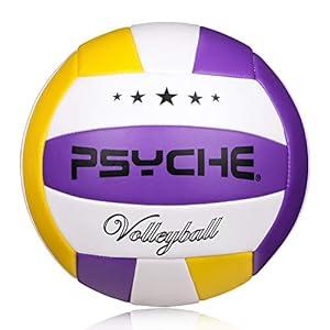 Wisdom Leaves Beach Volleyball Soft Touch Volleyball Balls for Outdoor/ Indoor Games Official Size 5