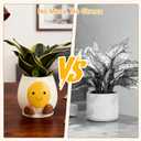 Abofth Fun Planters for Indoor Plants  Cute Plant Pots with Drainage and Tray, Unique Smiley Face Planter, Small Flower Pot Gifts for Plant Lovers, Office Home Decoration