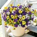 INQCMY Artificial Fake Pansy Flowers for Outdoor, 12 Pcs Faux Silk Pansies Spring Summer Flowers for Outside for Planter Pot Porch Yard Patio Front Door Window Box Home Decor