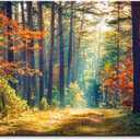 Autumn Forest Large Stretched Canvas Wall Art For Living Room Bedroom Home Decoration,Mordern Morning Sunlight Wood Print Picture Painting Decor Giclee Artwork,Gallery Wrapped Gift,Inner Frame(30x60) (60L" x 30W", Vivid Nature Grove Scenery)