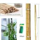 4 Ft Bamboo Stakes with 100 Twist Ties Natural Bamboo Garden Stakes for Tomatoes Cucumber Grapes Pole Beans Trees Potted Dahlia Flowers and Climbing Plants - Pack of 25