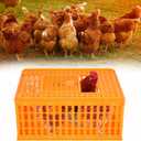 lukar 1 Piece Poultry Carrier Crate Plastic Chicken Transport Cage Heavy Duty Chicken Crates Transport Box for 10-13 Adult Chickens Duck Goose Birds, 29.5 x 21.7 x 13 Inch
