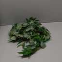Fake Greenery Garlands Artificial Silver Dollar Eucalyptus Garland in Grey Green and Willow Twigs Garland Intertwined Together for Rustic Wedding Arch Swag Doorways Table Runner Decoration