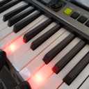 Casio Casiotone LK-S250 – 61-Key Lighted Portable Keyboard | Touch Response| Key Lighting System, 400 Tones, Dance Music Mode | 60 Songs + 4-Stage Lesson System